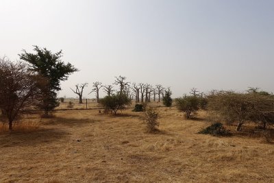 94.jpg