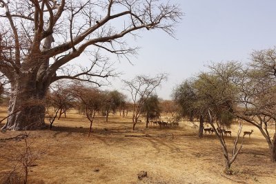 98.jpg