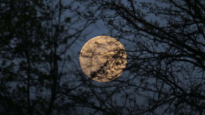 Supermoon Rise
