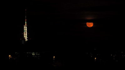 Moonrise