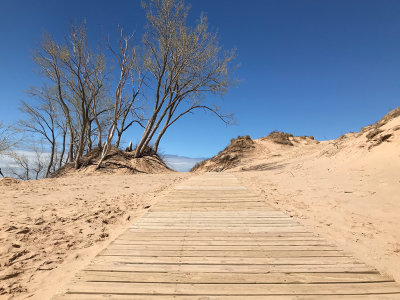 Honorable Mention - Boardwalk To The Sky - by Cristina Piluso