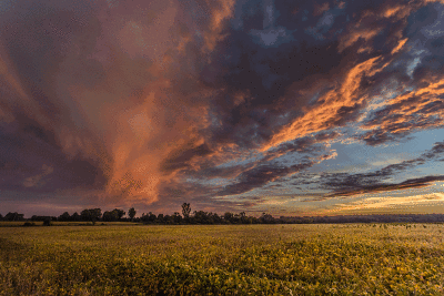 _MG_6482.gif