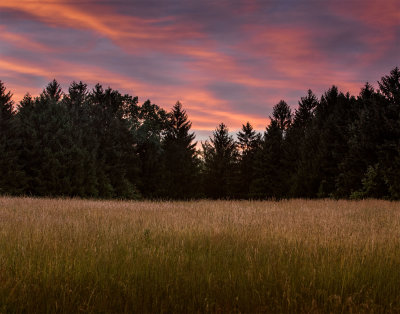 _MG_8316.jpg