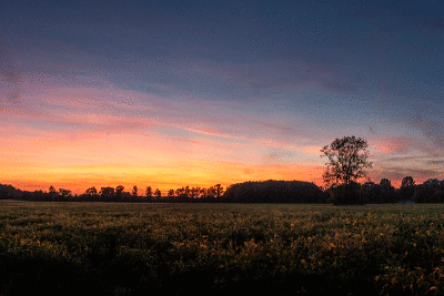 _MG_1324.gif