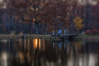 _MG_3625.gif