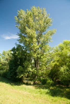 Garbolc 23