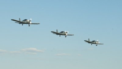 g12/37/699437/3/169780072.rAfV73Jj.jpg