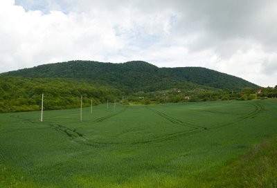 Hosszhetny 14