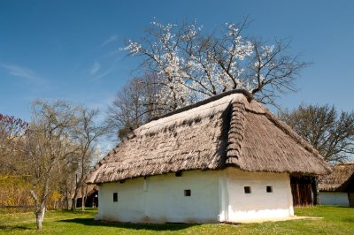 Szalafő 12
