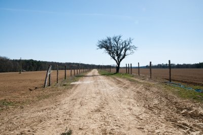 Ispnk fel 01 - Towards Ispnk 01
