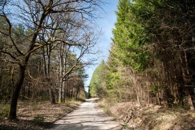 Ispnk fel 05 - Towards Ispnk 05