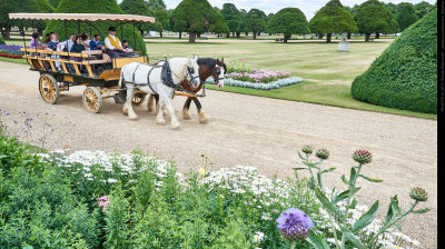 Hampton Court Visit, July 2017