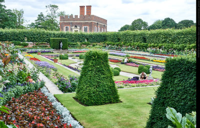 Hampton Court Visit, July 2017