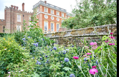 Hampton Court Visit, July 2017