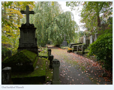 Old cemetery Hasselt