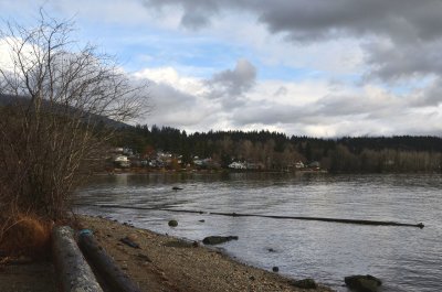 mudflats