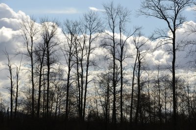 storm clouds