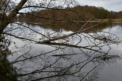 sloughs