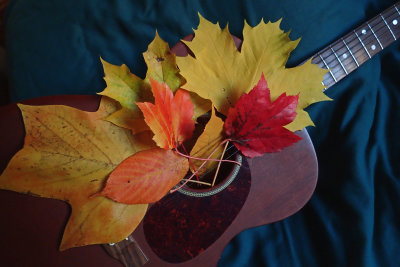 Autumn farewell