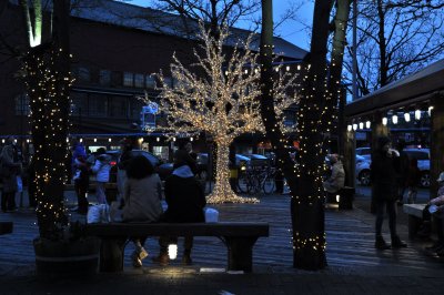 g12/37/770137/3/171296217.rhLYaAUW.jpg