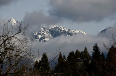g12/37/770137/3/171493488.BFvHe3km.jpg