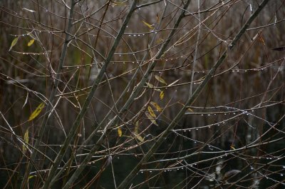 g12/37/770137/3/172156016.W1Qo27mK.jpg