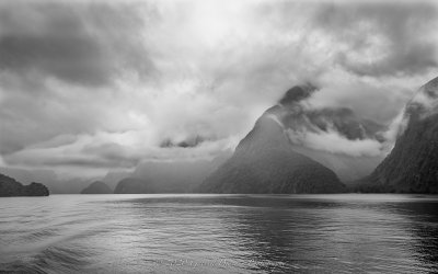 IMG_8413.jpg