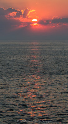 IMG_7818.jpg