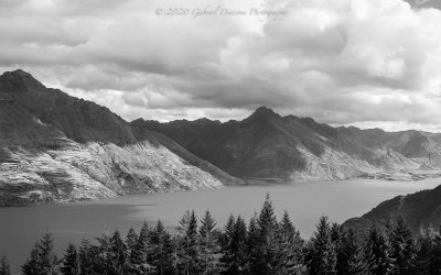 IMG_8198.jpg
