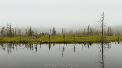 IMG_7575_S.jpg