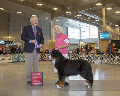 Loggins finished his Championship this particular weekend.  
He is now Champion Blumoon's For The First Time. 
Finished, with four majors, one day before he turned 13 months old. 