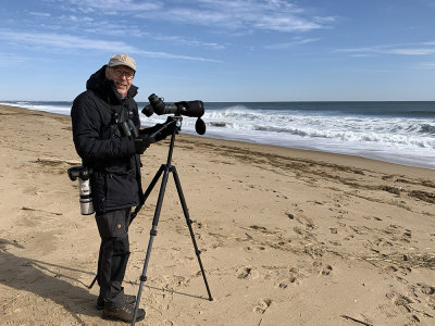 Plum Island