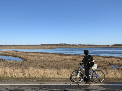 Birding by bike