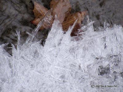 Ice Crystals and Maple Leaf