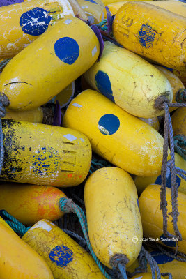 Yellow Floats2, Newport, OR