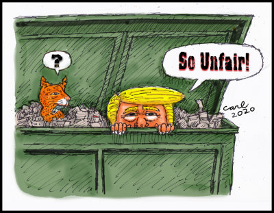 Down In The Dumps