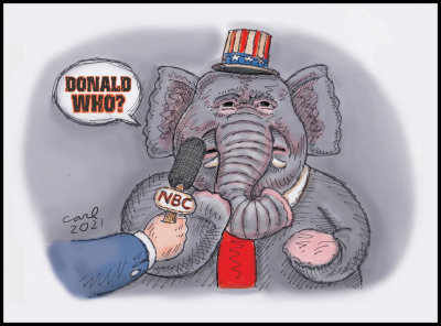 Donald Who?