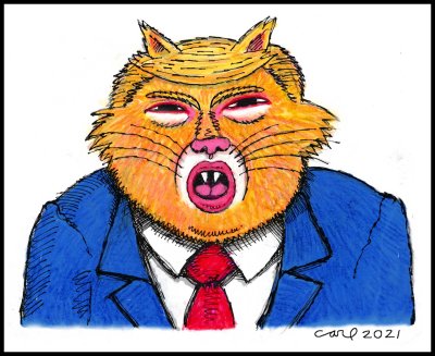 One Bad Cat