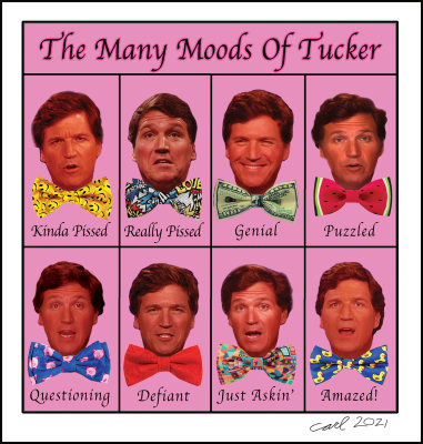 The Many Moods Of Tucker
