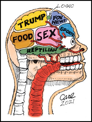 Trumpbot Brain
