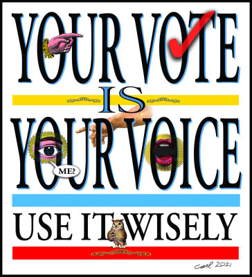 YOUR VOTE IS YOUR VOICE
