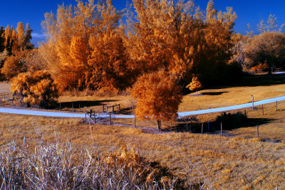 Farm