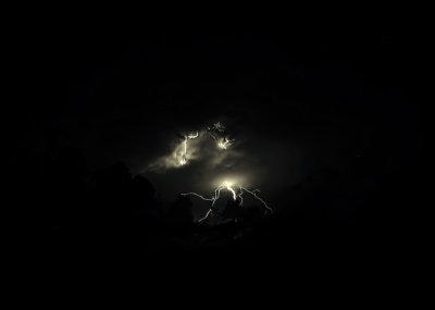 Storm