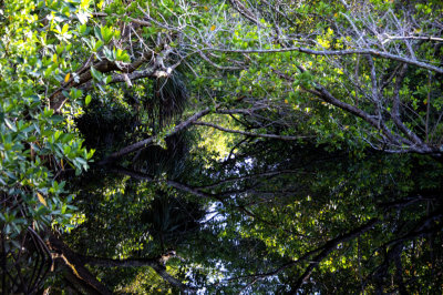 Kayak water path
