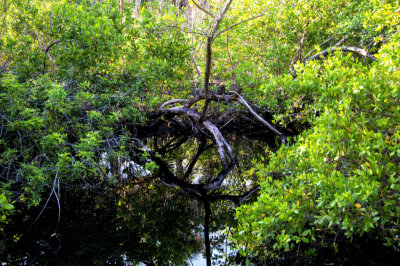Florida waterway