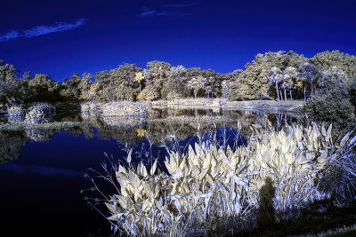 Pond 2