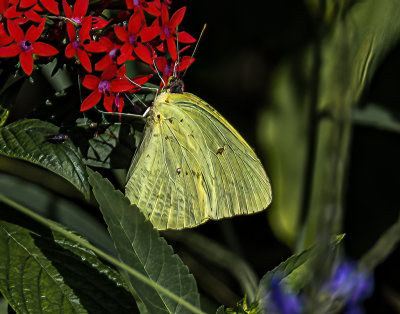 g12/38/1237738/3/172031391.NCDAJDn3.jpg
