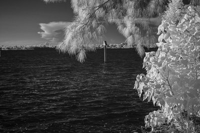 ..Red Channel Marker..
