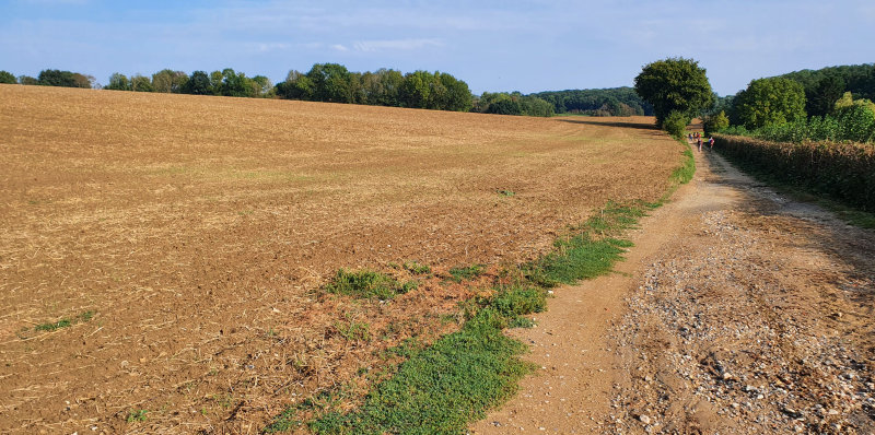 2020-09-20 Gnicourt 10h27.jpg