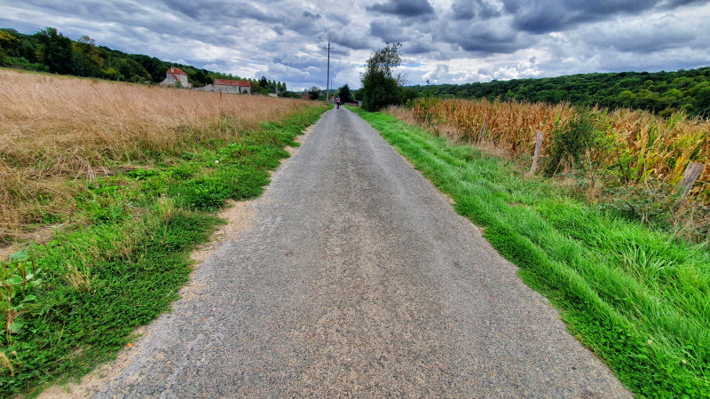 20200906_142536 PF.jpg